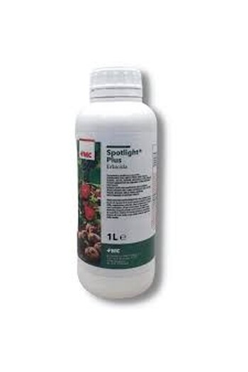 SPOTLIGHT PLUS DA LT. 1