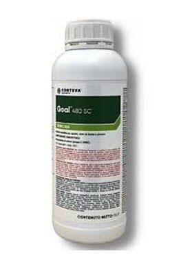 GOAL 480 SC DA LT. 1