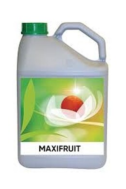 MAXIFRUIT DA LT. 5