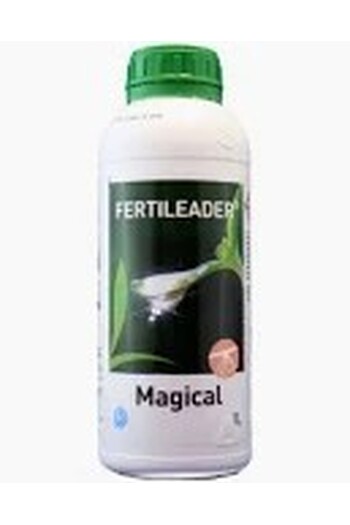 SEACTIV MAGICAL DA LT. 1