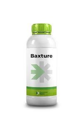 BAXTURE DA LT. 1