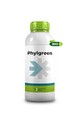 PHYLGREEN DA LT. 1