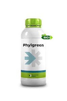 PHYLGREEN DA LT. 1