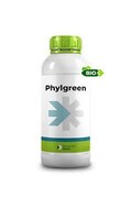 PHYLGREEN DA LT. 1