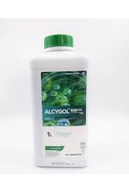 ALCYGOL B2M DA KG. 1