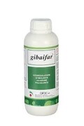 GIBAIFAR DA LT. 1