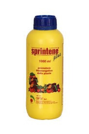 SPRINTENE PLUS DA LT. 1