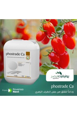 PHOSTRADE CA DA LT. 20