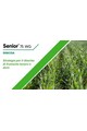 SENIOR DA KG. 0,5