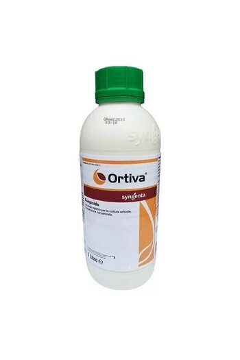 ORTIVA DA LT. 1