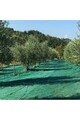 Telo Verde Per Raccolta Olive Antispina e Antistrappo 5X8 OCCHIELLATO (90 GRAMMI)