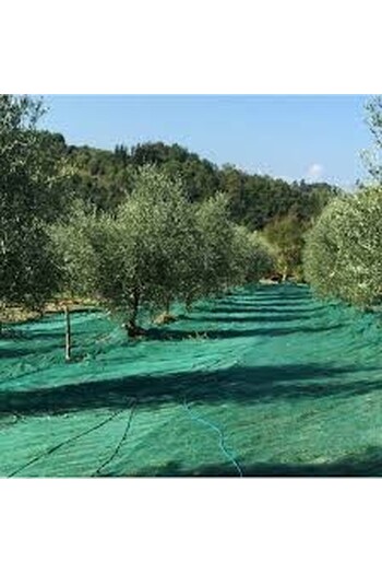 Telo Verde Per Raccolta Olive Antispina e Antistrappo 5X10 OCCHIELLATO (90 GRAMMI)