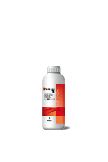 FENERGY SC DA LT. 1