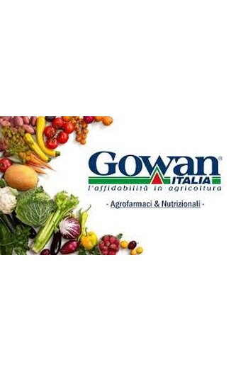 CUPRORAM 35 WG DA KG. 1