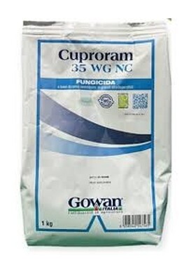 CUPRORAM 35 WG DA KG. 1