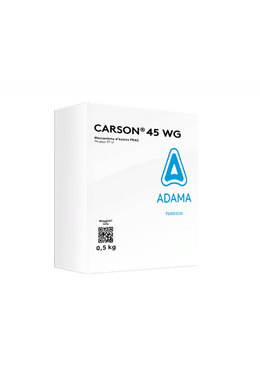 CARSON 45 WG DA gr. 500