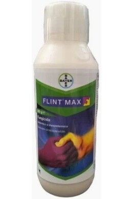FLINT MAX DA gr. 500