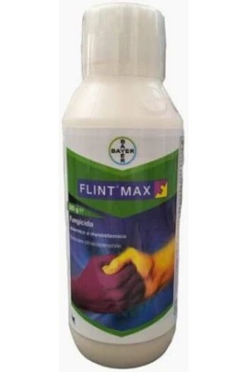 FLINT MAX DA gr. 500