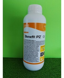 BENEFIT DA LT. 1