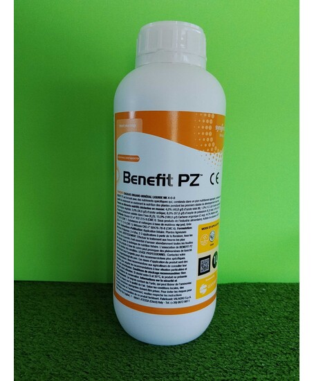BENEFIT DA LT. 1