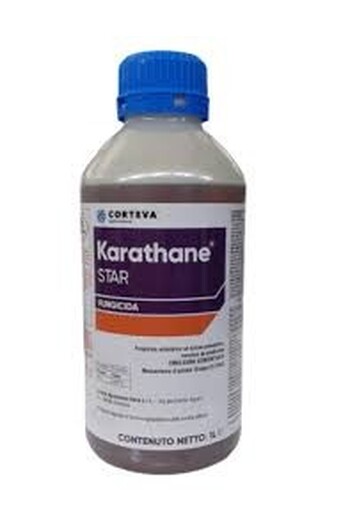 KARATHANE STAR DA LT. 1