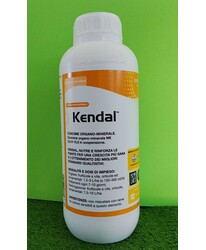 KENDAL DA LT. 1