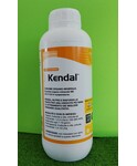KENDAL DA LT. 1