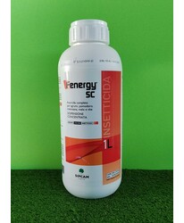 FENERGY SC DA LT. 1