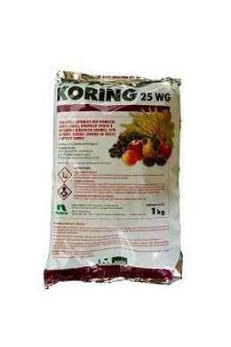 KORING 25 WG DA KG. 1