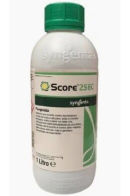 SCORE 25 EC DA LT. 1