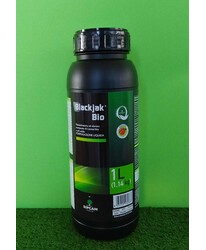 BLACKJAK BIO DA LT. 1