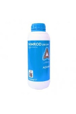 NIMROD 250 EW DA LT. 1