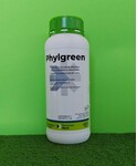 PHYLGREEN DA LT. 1