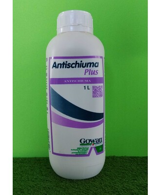 ANTISCHIUMA PLUS DA LT. 1