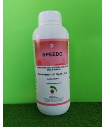 SPEEDO DA LT. 1