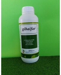 GIBAIFAR DA LT. 1