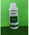 GIBAIFAR DA LT. 1