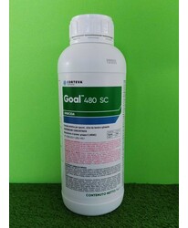 GOAL 480 SC DA LT. 1