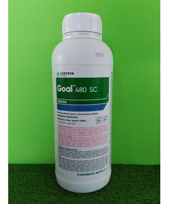 GOAL 480 SC DA LT. 1