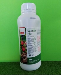 SPOTLIGHT PLUS DA LT. 1