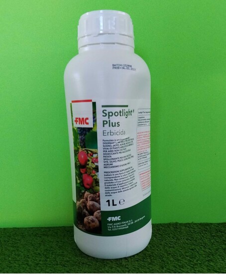 SPOTLIGHT PLUS DA LT. 1