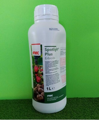 SPOTLIGHT PLUS DA LT. 1