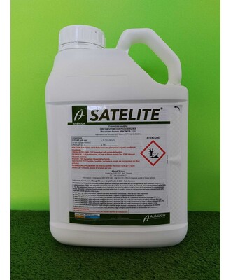 SATELITE DA LT.5