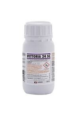 VITTORIA 24 SC LT. 0,200