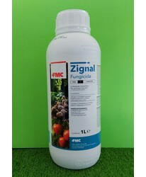 ZIGNAL DA LT. 1