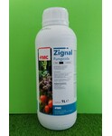 ZIGNAL DA LT. 1
