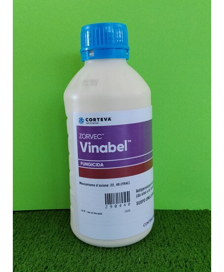 ZORVEC VINABEL DA LT. 1