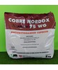 COBRE NORDOX super 75 WG DA KG. 5