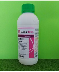 TOPAS 10 EC DA LT. 1