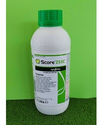 SCORE 25 EC DA LT. 1